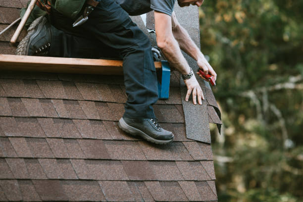 Best Roof Gutter Cleaning  in Carrollton, GA