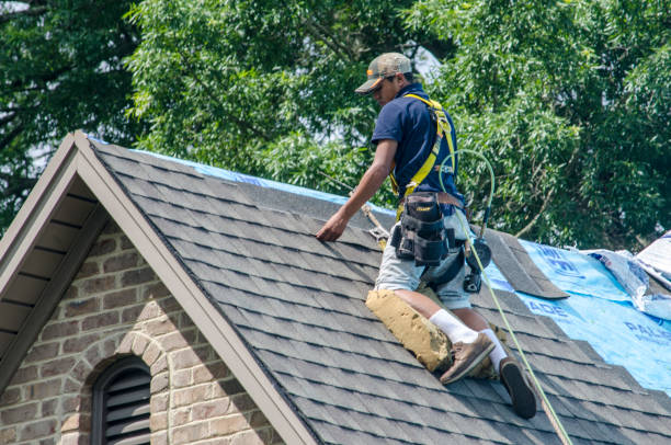 Best Roofing Contractors for Homes  in Carrollton, GA